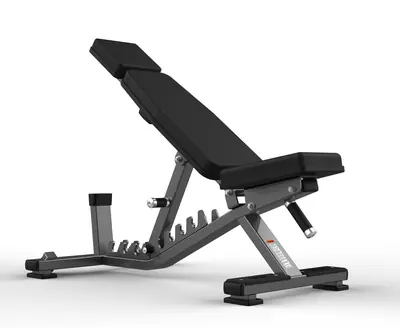 FW-2008 Adjustable Bench