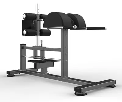 FW-2029 Glute Ham Raise