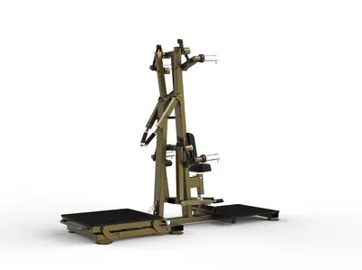 LD-1004 Standing Lateral Rise Rear Deltoid