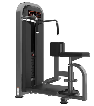 M2-1021 Rotary Torso Rotation