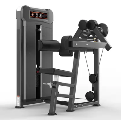 M3-1002 Lateral Rise