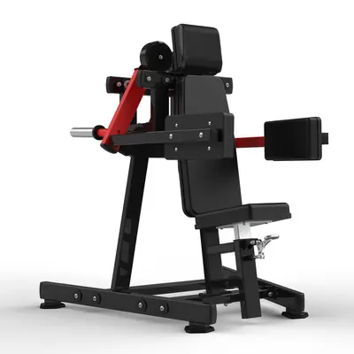 RS-1016 Lateral Rise