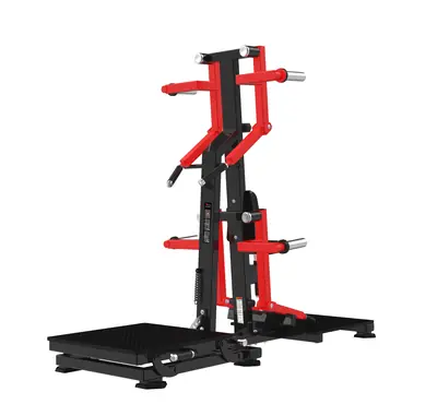 RS-1050 Standing Lateral Rise Rear Deltoid