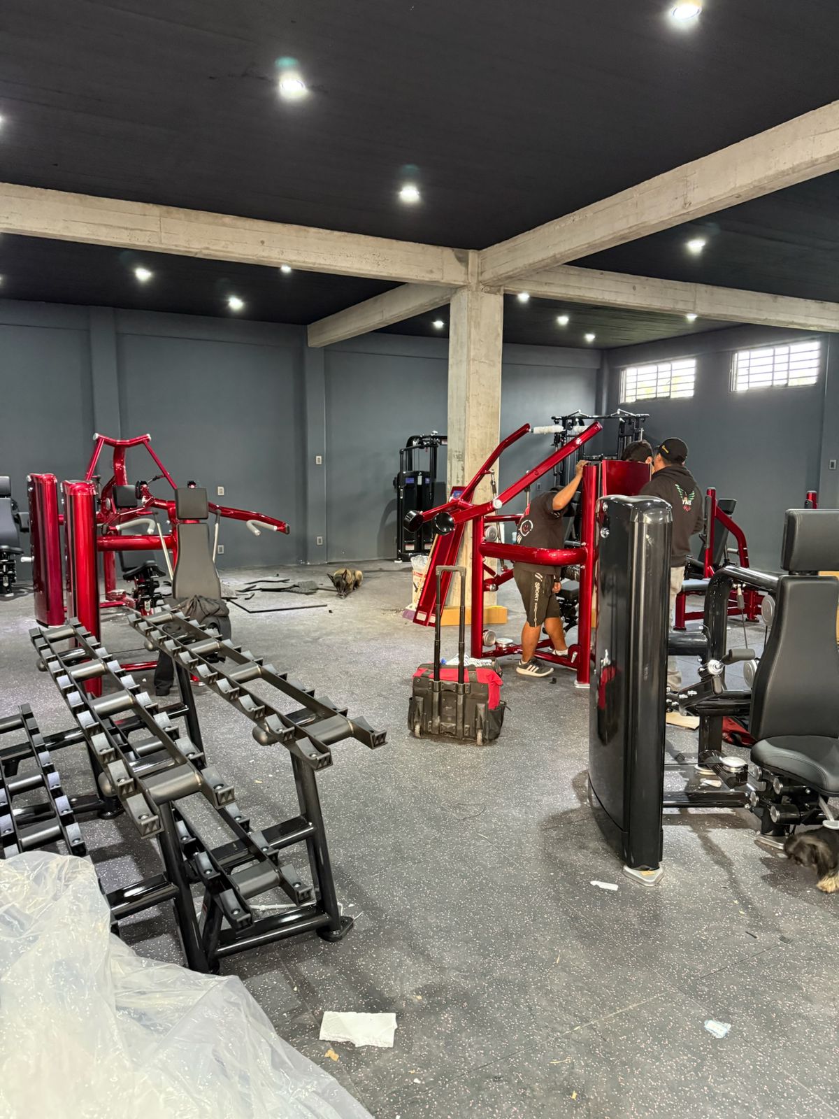 Evolve Fitness México — proyecto RealLeader